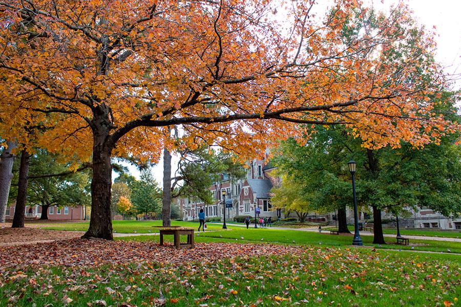 Campus in fall color